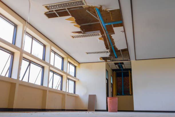 Best Commercial water damage restoration  in Rochester, IL