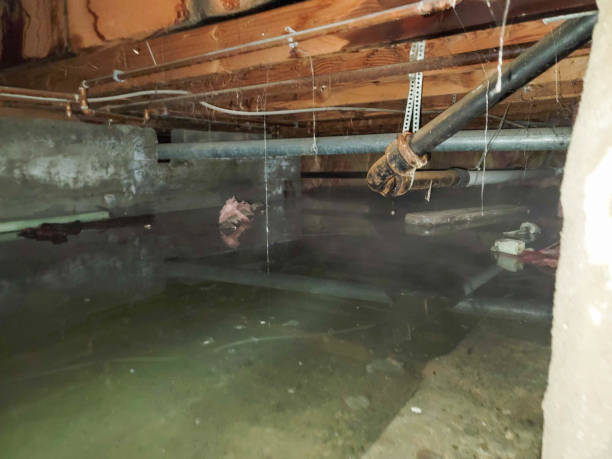 Best Ceiling water damage repair  in Rochester, IL