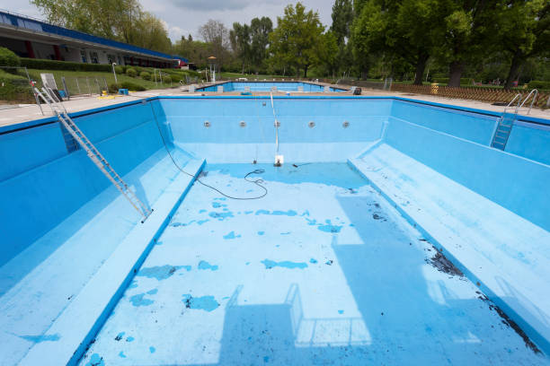 Best Flood restoration services  in Rochester, IL