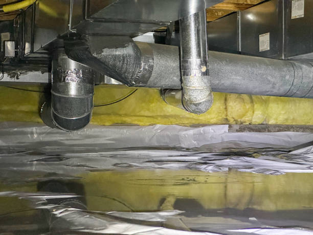 Best Local water damage restoration  in Rochester, IL