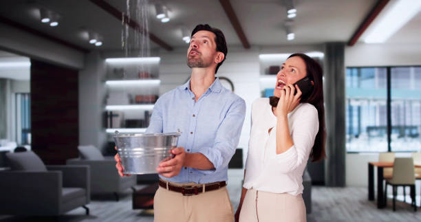 Best Water damage restoration near me  in Rochester, IL
