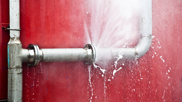 Best Mold removal after water damage  in Rochester, IL